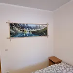 U Skrajnioka Guest house 3*